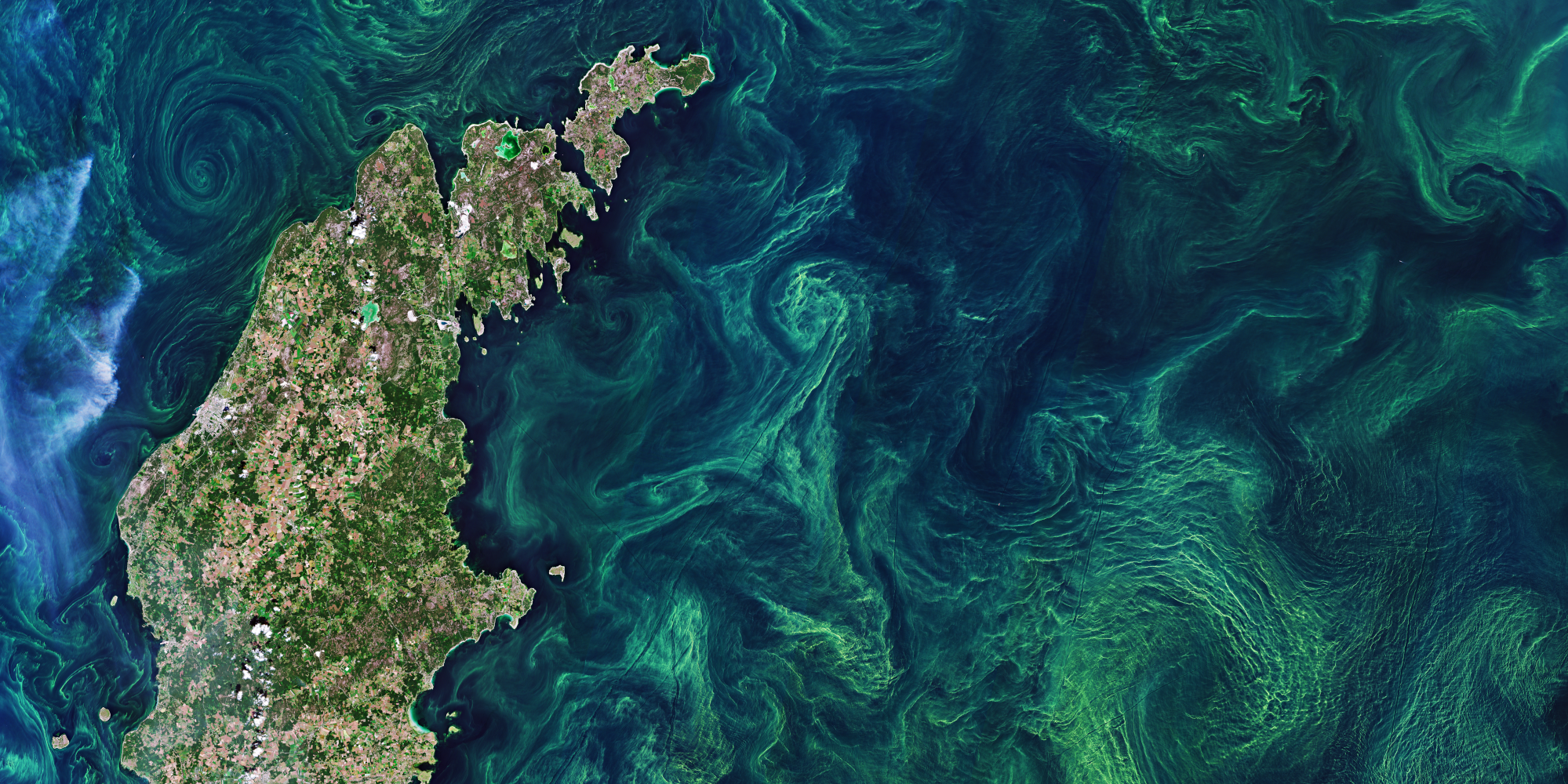 The highways of the oceans