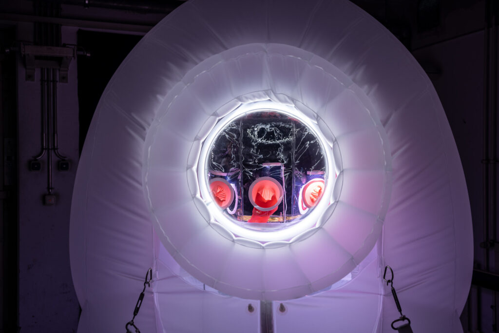 Biosymbiotic Exoskeleton